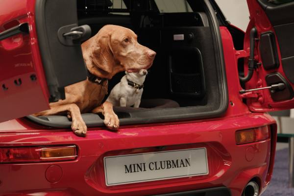 Mecánico revisando el motor de un automóvil