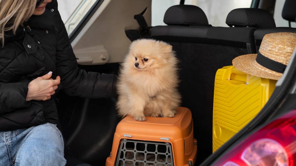 Viajes con mascotas, freepik.es