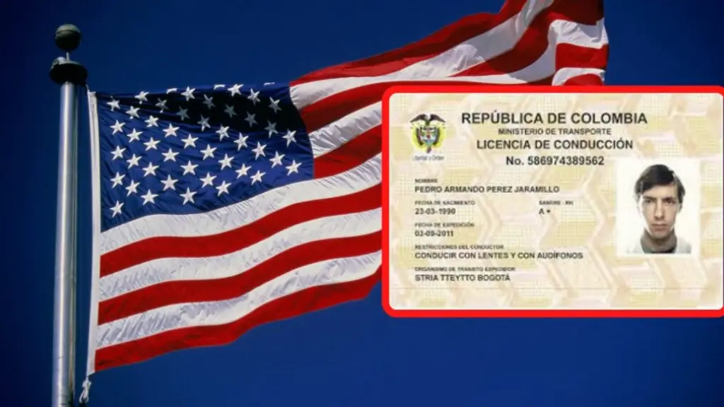 Licencia de conducir en Estados Unidos, Pulzo