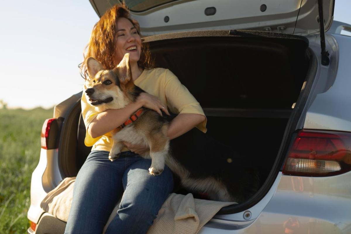 Cuidado con tu mascota ,agencia