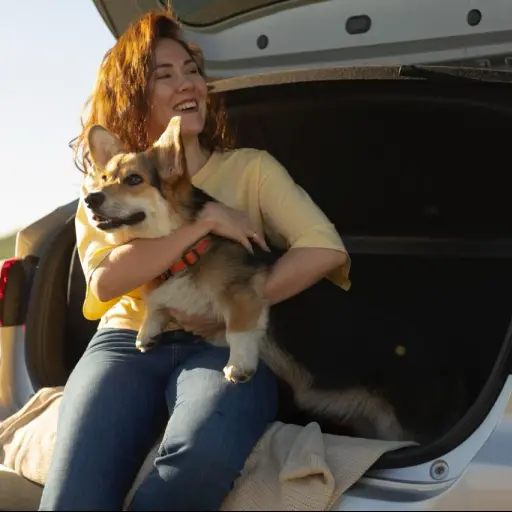 Cuidado con tu mascota ,agencia