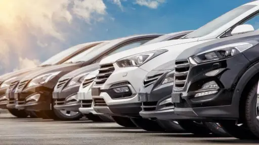 Automóviles ,patiodepaustos.com