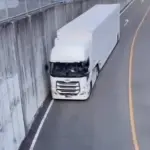 Hábil conductor ,instagram @flamingo_freight