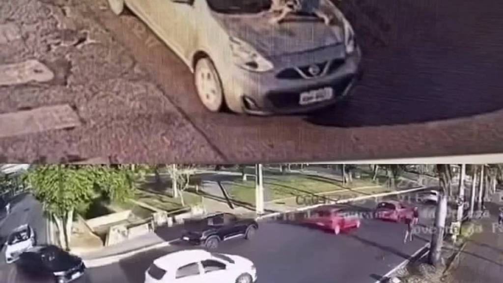 Atropello en Brasil , Redes sociales 