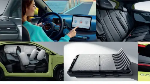 BYD Mini Interior - BYD
