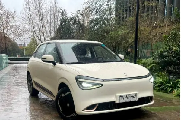 Donfeng - Eléctricos en invierno ,Prensa