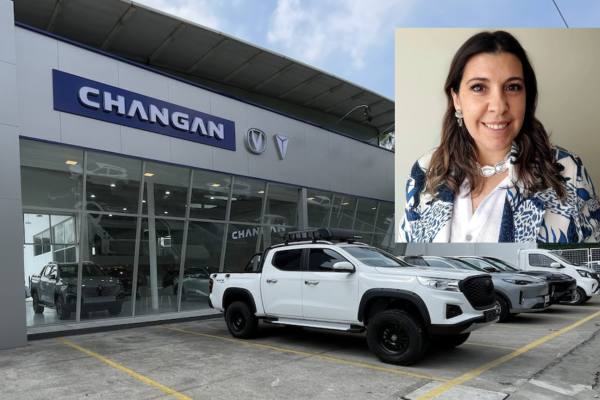 Mecánico revisando el motor de un automóvil