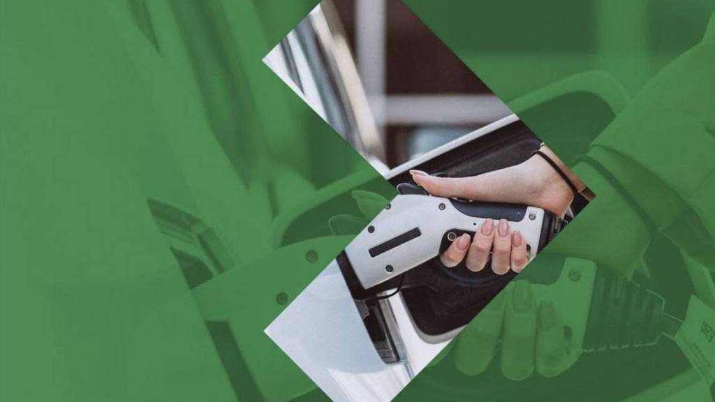 Informe de ventas vehículos cero y bajas emisiones, ANAC