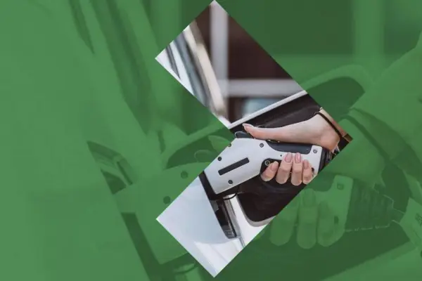 Informe de ventas vehículos cero y bajas emisiones ,ANAC