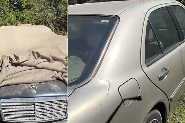 Mecánico revisando el motor de un automóvil