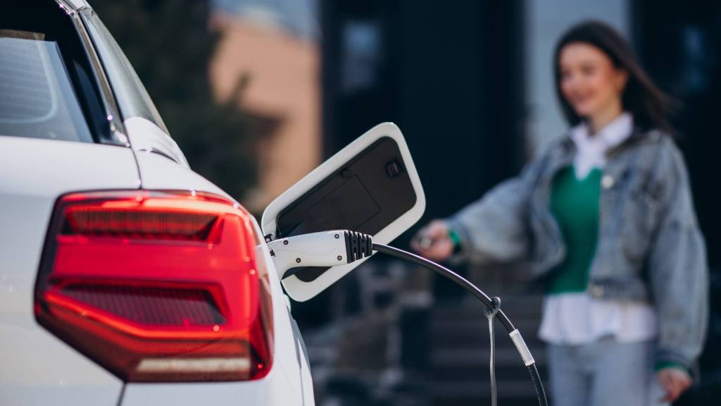 Día del auto eléctrico, Prensa