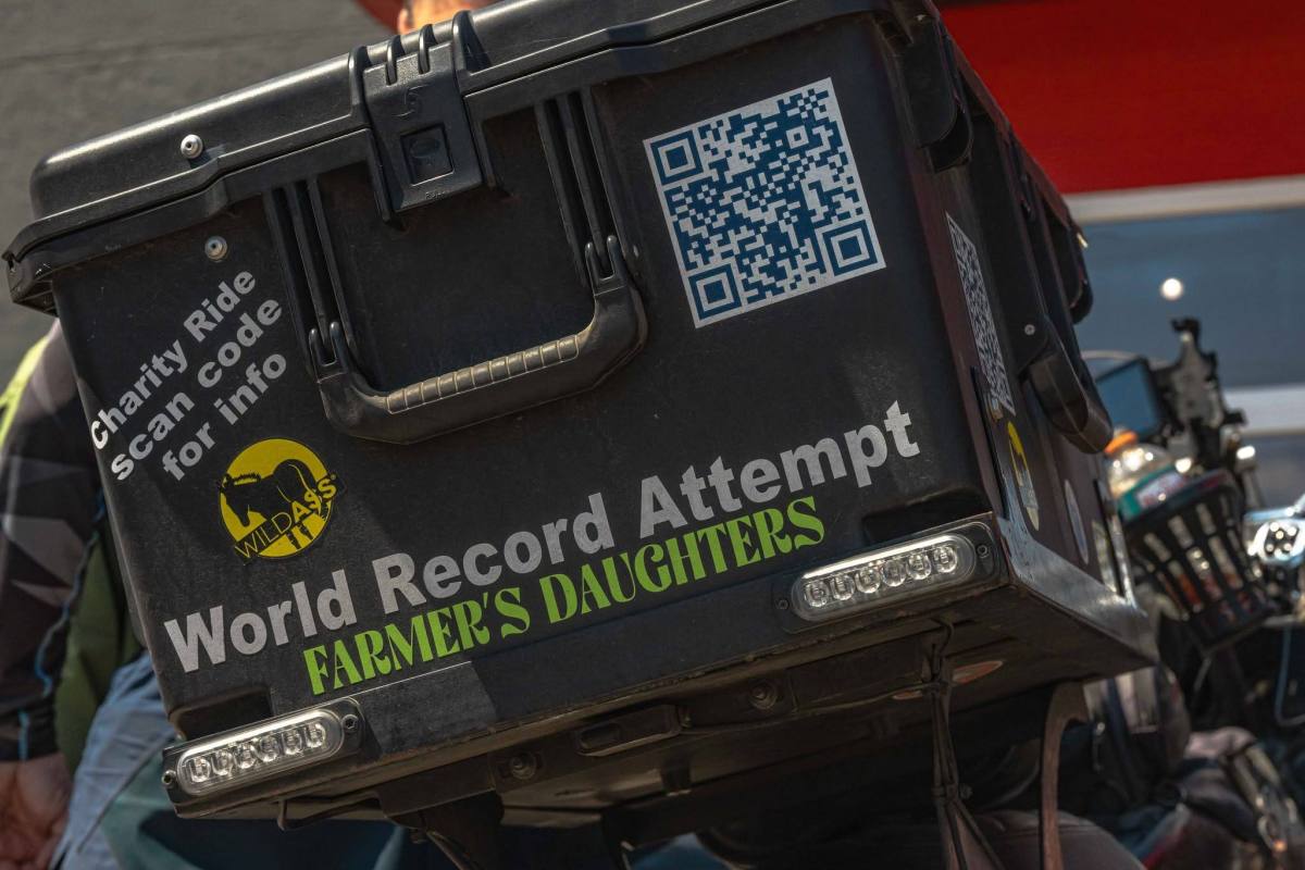 Indian Pursuit Records ,Prensa
